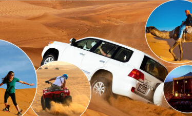 Luxury Under the Stars: Desert Safari  Premium Camp